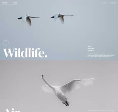 Webdesign-Vorlage für Fotografen – klare Typografie & visuelle Wirkung für Portfolios
